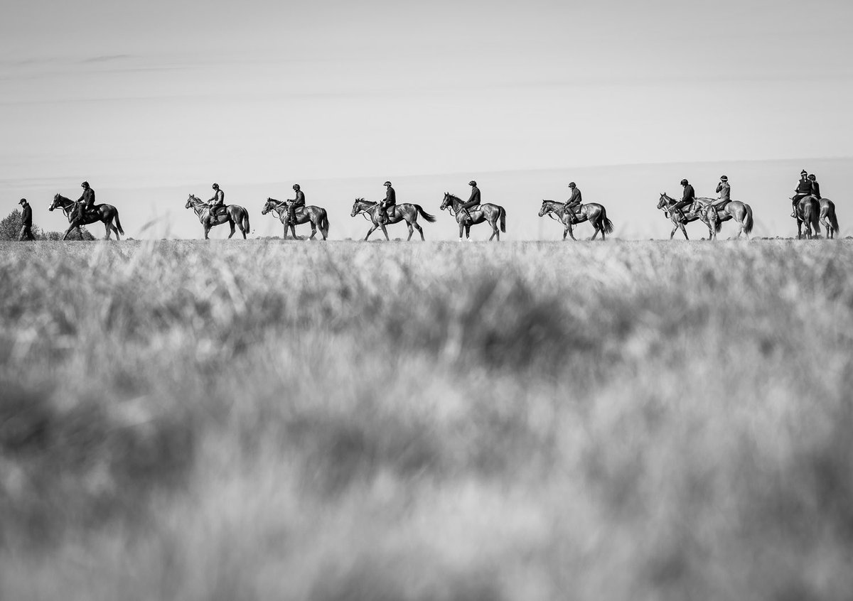 As 2019 draws to a close we would like to take a moment to thank all of our amazing customers &amp; followers! Thank you for all your support over 2019 &amp; we look forward to delivering you the very best Equine Supplements in 2020🐴 #EQMedic #EquineSupplements #ExpertsInEquineHealth