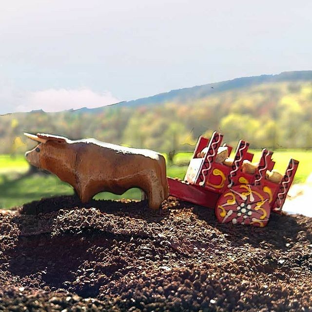 We’re Back from the coffee mines! 
Roasting coffee is our passion, but it is to you, our customers, that we owe our heartfelt thanks. We love what we do, but some of the best things about Dark Hollow are the friends we’ve made, and the interactions with … ift.tt/2F65dBp