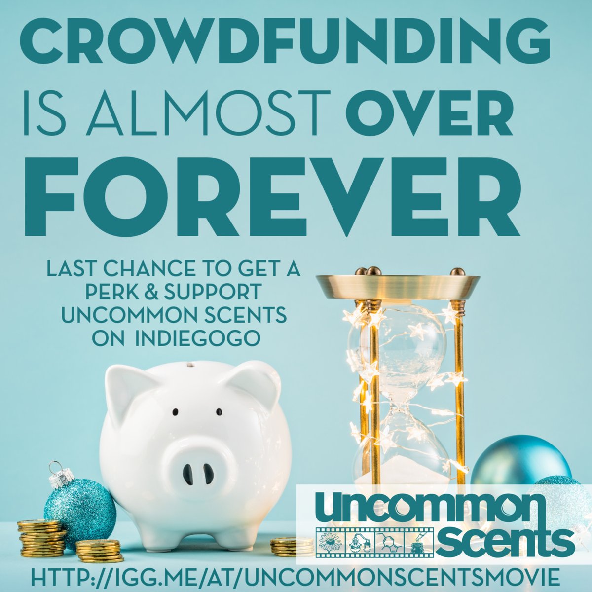 Uncommon Scents tweet media