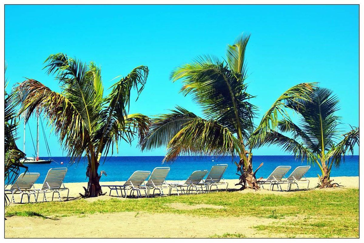 TourismNevis's tweet photo. Hello fans! Magic Monday
What a perfect Caribbean Island to spend your Christmas vacation.
#Caribbean #NevisNaturally #Nevis

PC: Josiah Fotos https://t.co/423W8MQLb2