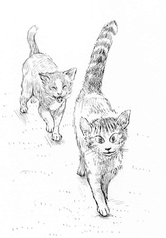 絵 絵画 原画 ぽつん ネコ 猫 アニマル ペン画 イラストアート