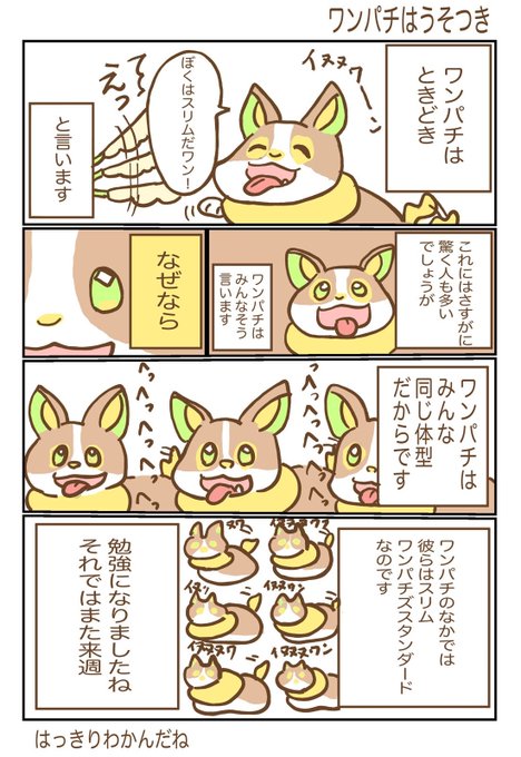 ワンパチ