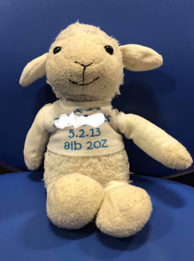 UHDBTrust's tweet image. This little lamb has been left BAA-hind in our Children's Emergency Department at the Royal Derby Hospital - can you help us reunite him with his owner? 🐑🏥

Let's get them reunited before the #NewYear/Decade comes around!