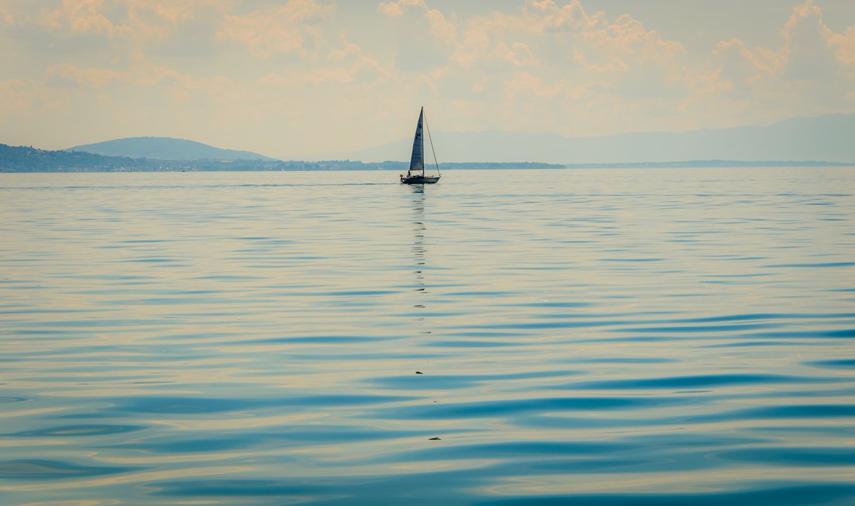 En 2020, engageons-nous pour la préservation du Lac Léman ! Consultez l'état du Lac et consultez les dernières actualités sur le nouveau site de l'Association de Sauvegarde du Léman. 🐟 asleman.org  #leman