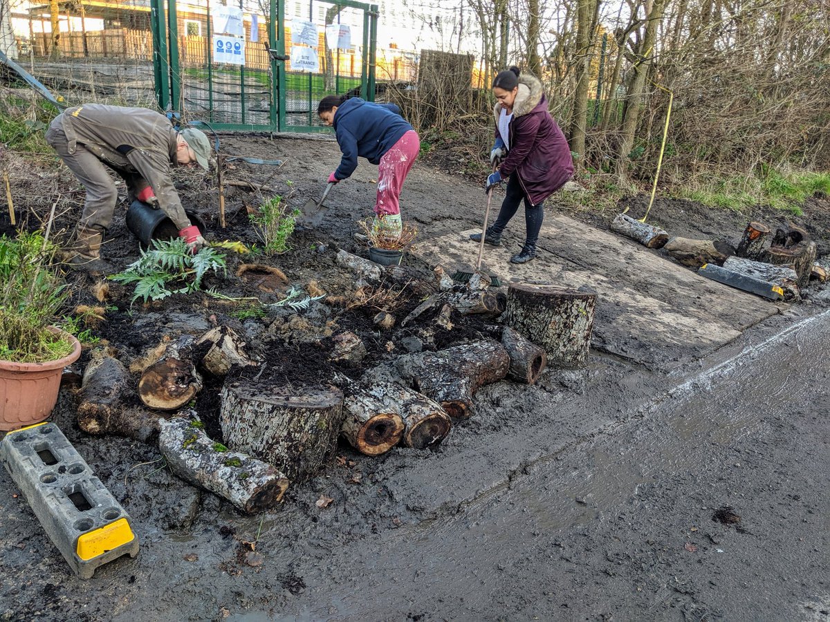 alistairlambert's tweet photo. Finally having had enough of the Brent Terrace mud bath opposite our houses a few of us locals dabbled in a bit of #guerillagardening yesterday using the contents of old hanging baskets and neglected plant pots. Also included a couple of #treesforlondon saplings.  🤞 https://t.co/5Si3yXpg09