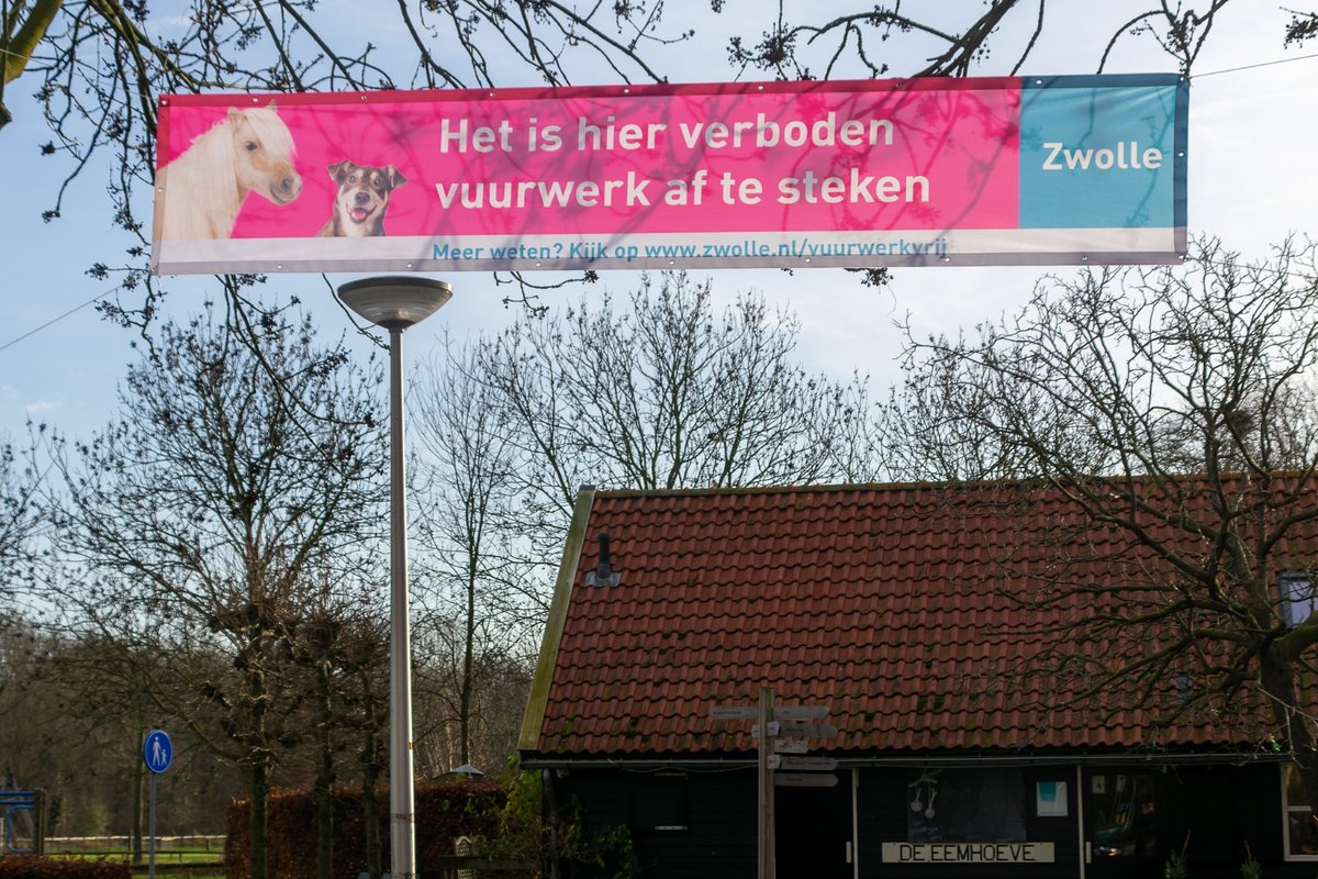 WBklooienberg's tweet photo. Onze dieren zullen deze jaarwisseling minder stress hebben dan anders.@Gemeente_Zwolle heeft een vuurwerkverbod ingesteld rondom @WBklooienberg en @eemhoeve . We hopen dat jong en oud hieraan meewerkt! #vuurwerkverbod #zwolle #stressvrij #dieren https://t.co/defoKu6sbF