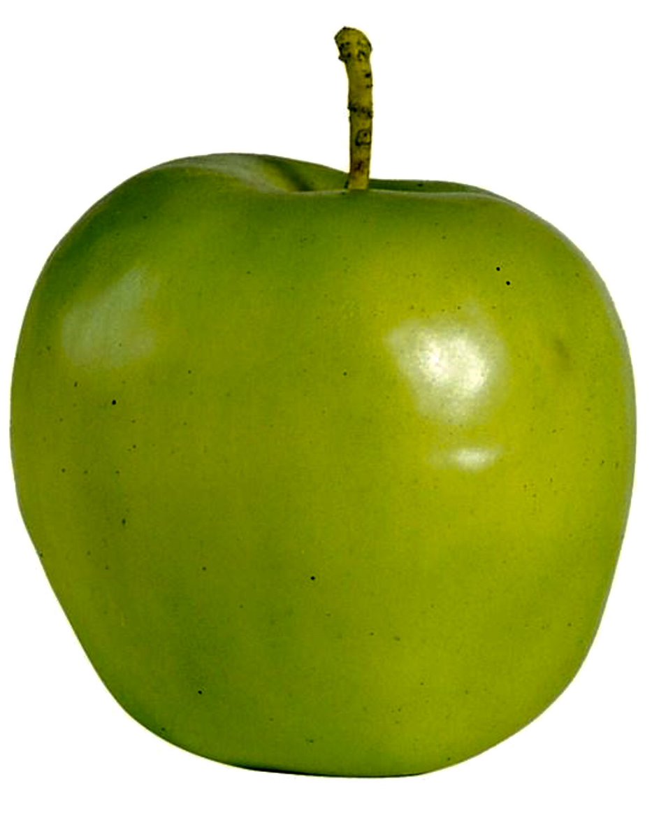 Father Christmas deliver any Apple products to your children this year? If so consider setting children’s Apple accounts through the family sharing option. This will enable you to set age restrictions that are appropriate to your child. #Rutland #childonline #education