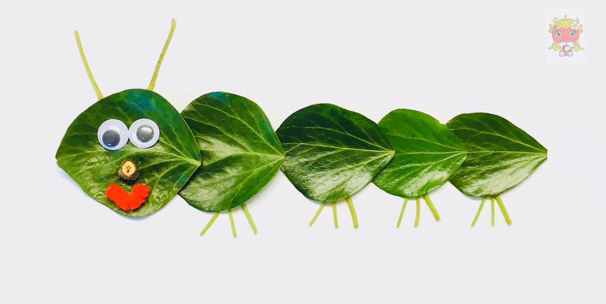 The Nippers Nature & Nutrition Box 🦔 tweet media