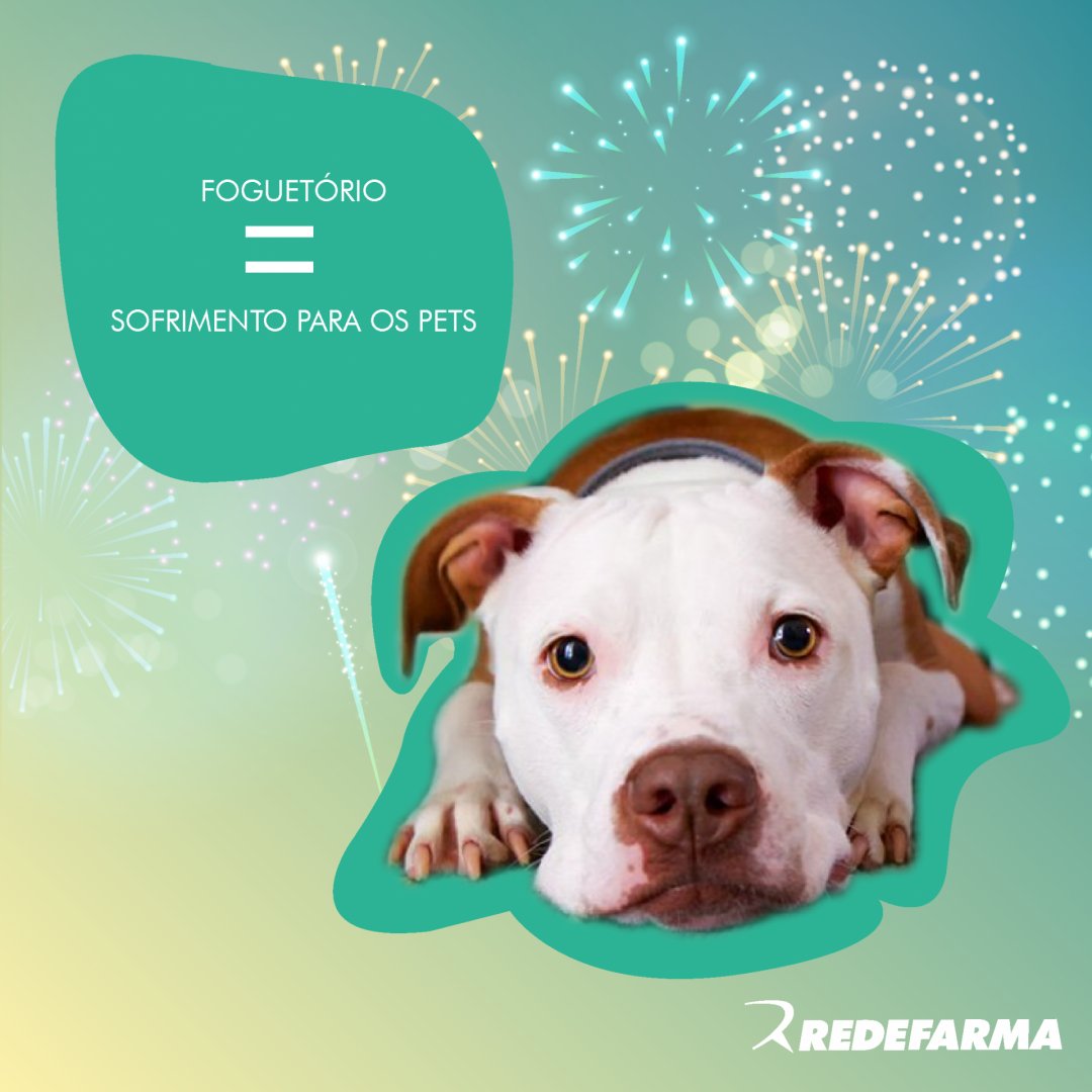 redefarmamg's tweet photo. Animais têm a audição bem mais sensível que a dos humanos. E sofrem muito com fogos de artifício dessa época do ano. Entre os efeitos que o barulho causa em cães e gatos, estão ansiedade, vômitos, taquicardia e convulsões que podem até matar. 
Evite deixar seu pet sozinho durante https://t.co/UjNvWIqjri