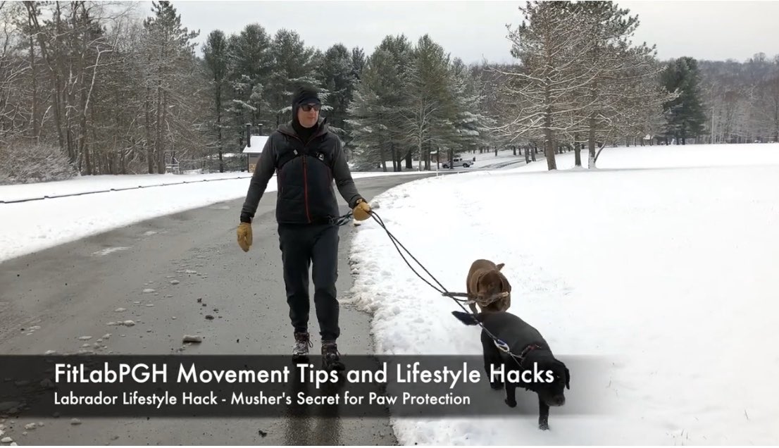 FitLabDeepCreek's tweet photo. #BestOf2019 #LifestyleHack from #FitLabPGH #podcast (link below): #StressLess & #MoveMore w/ your dog this winter w/ #MushersSecret #PawProtection
#Pittsburgh #pgh #pghdog
https://t.co/0tk6Ewh2Ib https://t.co/Y9ARqfXoMY