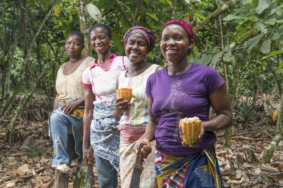 World Cocoa Foundation tweet media