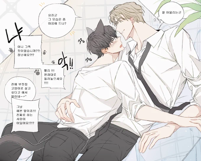 현제유진- 성현제 집 고양이 