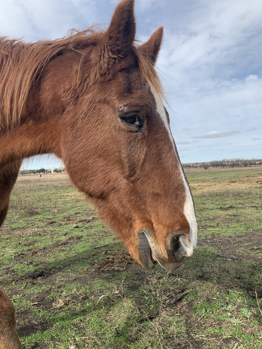 Linniebsheehan's tweet photo. Looking good and feeling fine!
Happy Monday!
Pops https://t.co/Y3z8g3uzsN