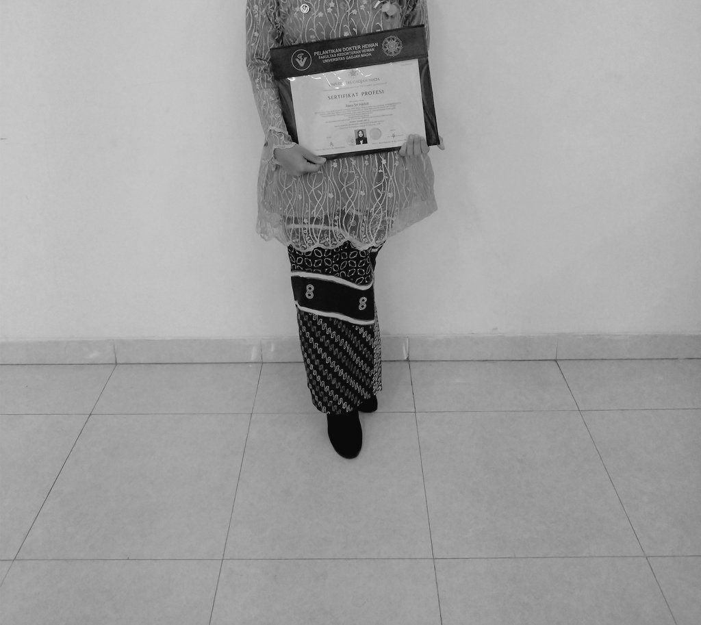 rianarsh's tweet image. Bangga bisa pakai geblek renteng hari ini❤️ #belabelikulonprogo