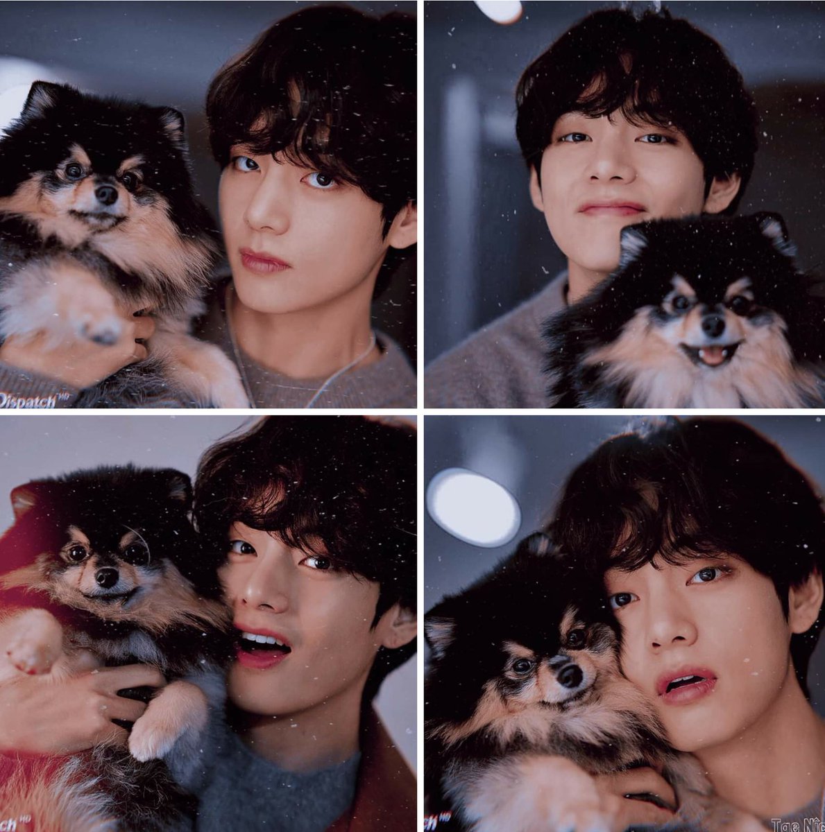 FAIZAAYY's tweet photo. HAPPY BIRTHDAY KIM TAEHYUNG💜

#OurWinterBearTae #HappyVDay #OurWinterBearV #TAEHYUN #TaehyungIsLove #TAETAEisLOVE https://t.co/mmlTz6N8uC