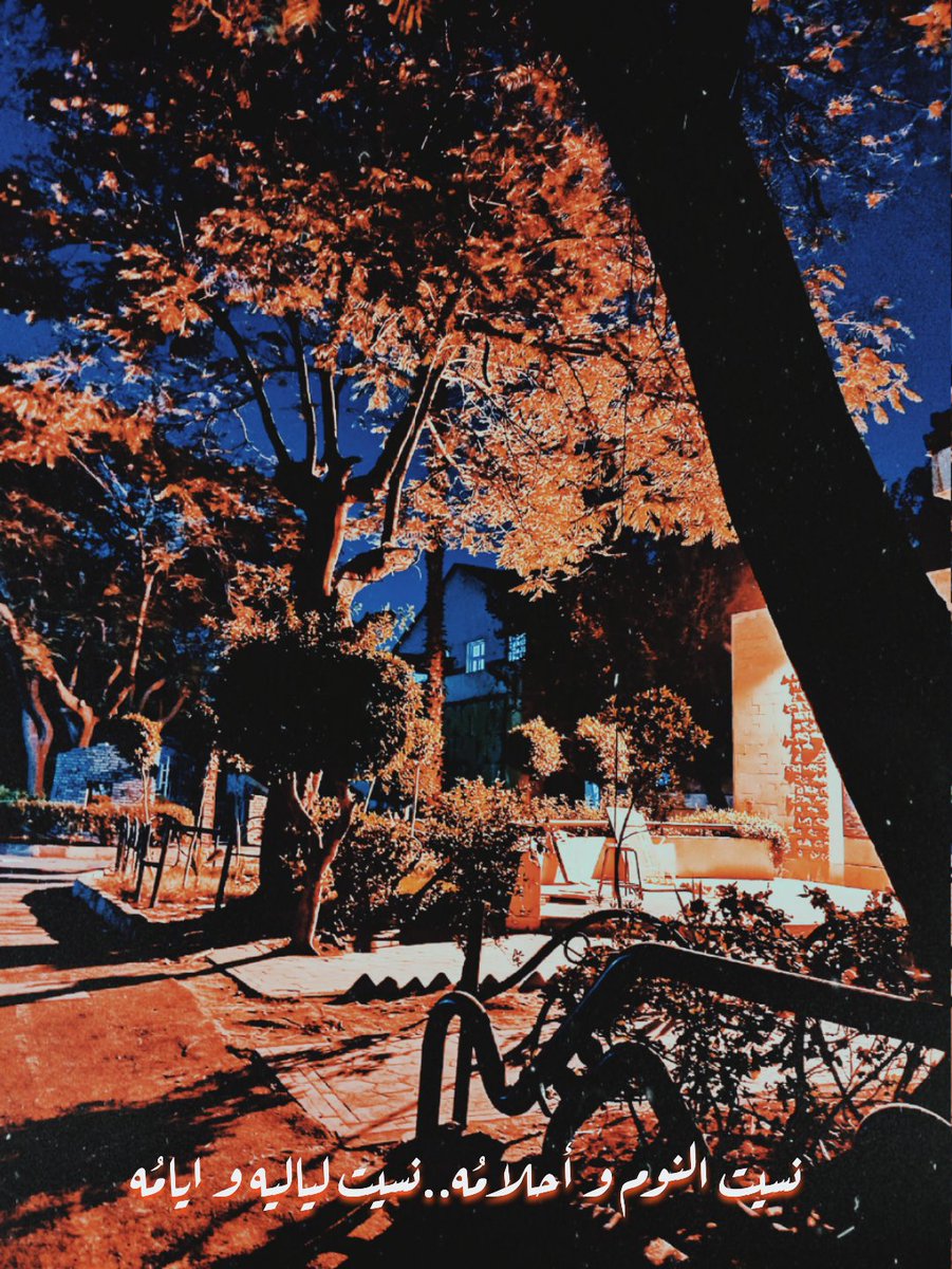 RrahmaAlaa's tweet photo. #Day30
#Decembershots ๐ https://t.co/pmkhXDhohw