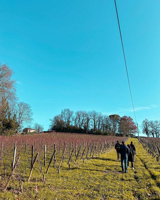 alexcasabo's tweet photo. 🥦🥦🍇🥦🥦🥦👯👯♀️👯♂️🥦🍇🥦🥦🍷
.
.
.
.
#bourdeux #fr #burdeos #france #frança #igersfrance #instafrance #francia #vinyes #vinya #wine #vine #burdeus #vino #vsco #afterlight #saintemilion #trip #🍷 #aroundtheworld #roadtripe #friendstrip #🇫🇷 #🍇 #🥦 https://t.co/pQxIsUfe3b https://t.co/75QpcH5Hm6