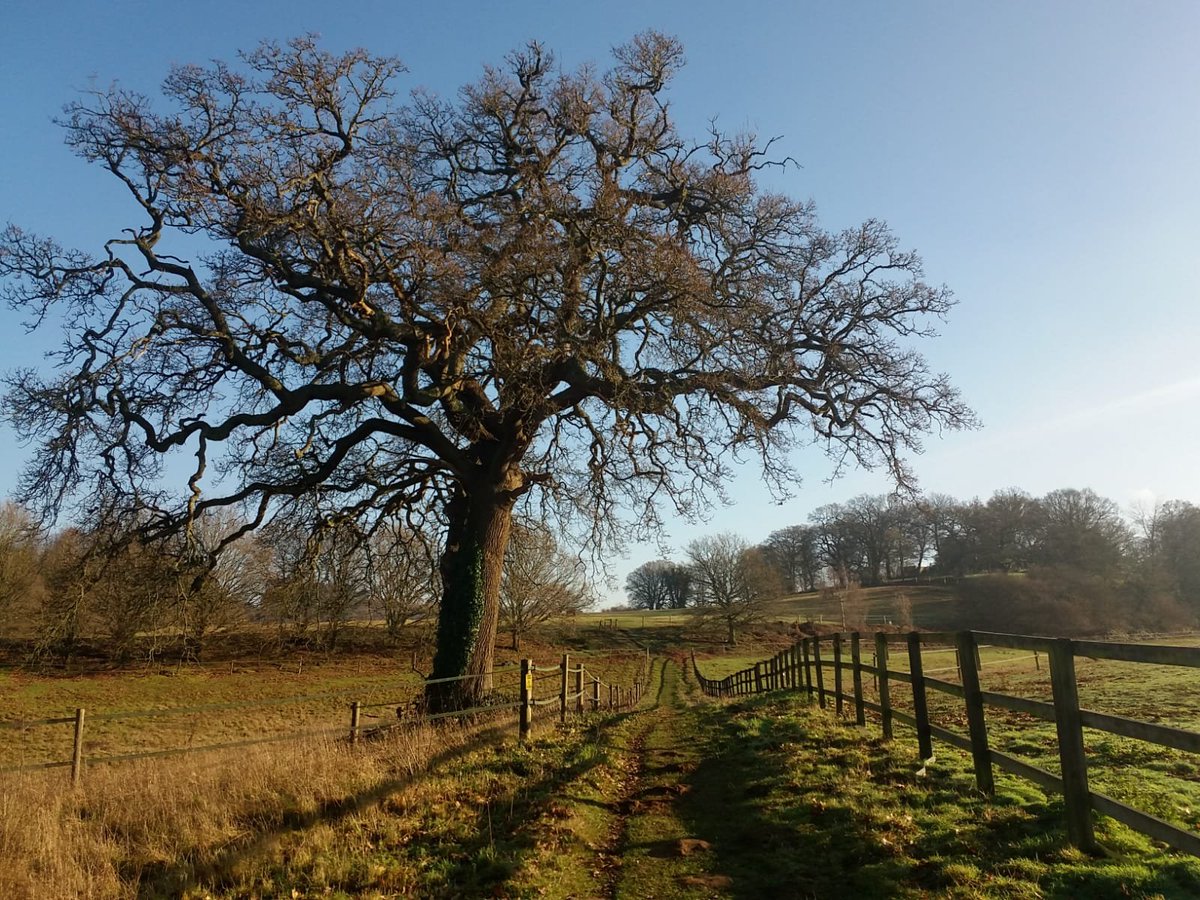 Cte_Simeoni's tweet photo. in love with these lands
#england
#perfidaAlbion
#dulceAlbion
#brexit
#coldwintermorning
#countryliving https://t.co/Di7eqfXz4C