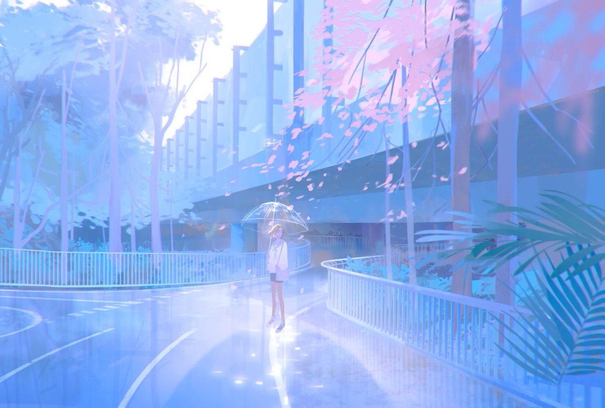 ameizhao's tweet image. 2019