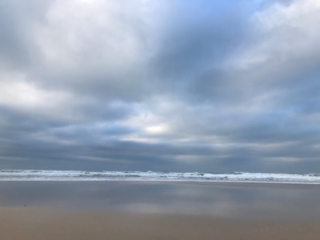 CornwallPure's tweet photo. We hope everyone had an amazing Christmas and loads of lush wintery walks!! ❄️ 
Here’s to New Year! 🥂🥳 

#purecornwall #cornwall #winter #winterwalks #december #sea #ocean #winterwalks #beach #beachwalks #dogs #dogfriendly #newyear #2020 #lovecornwall #nofilter https://t.co/AMp561w9Tp