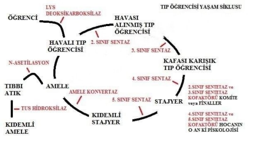 Amele olarak mezun olup N-asetilasyon ile tıbbi atık oluyoruz 😂