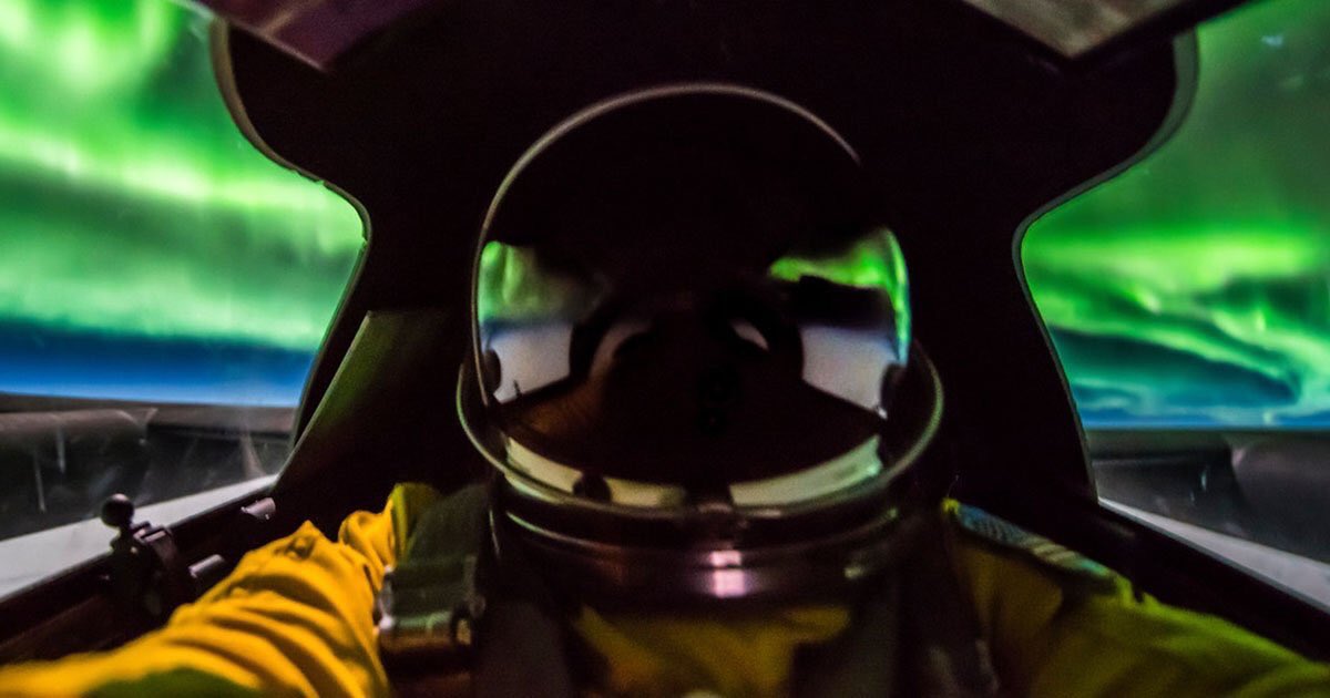 Meredith Frost tweet media