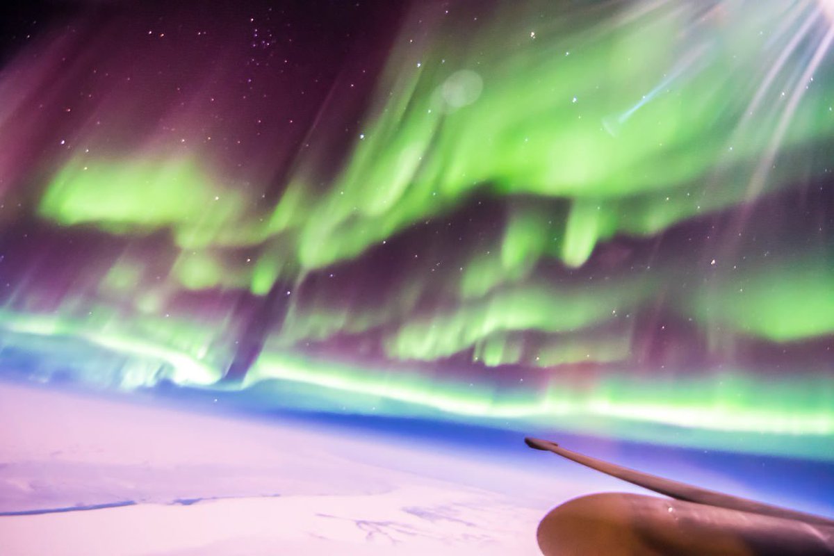 Meredith Frost tweet media