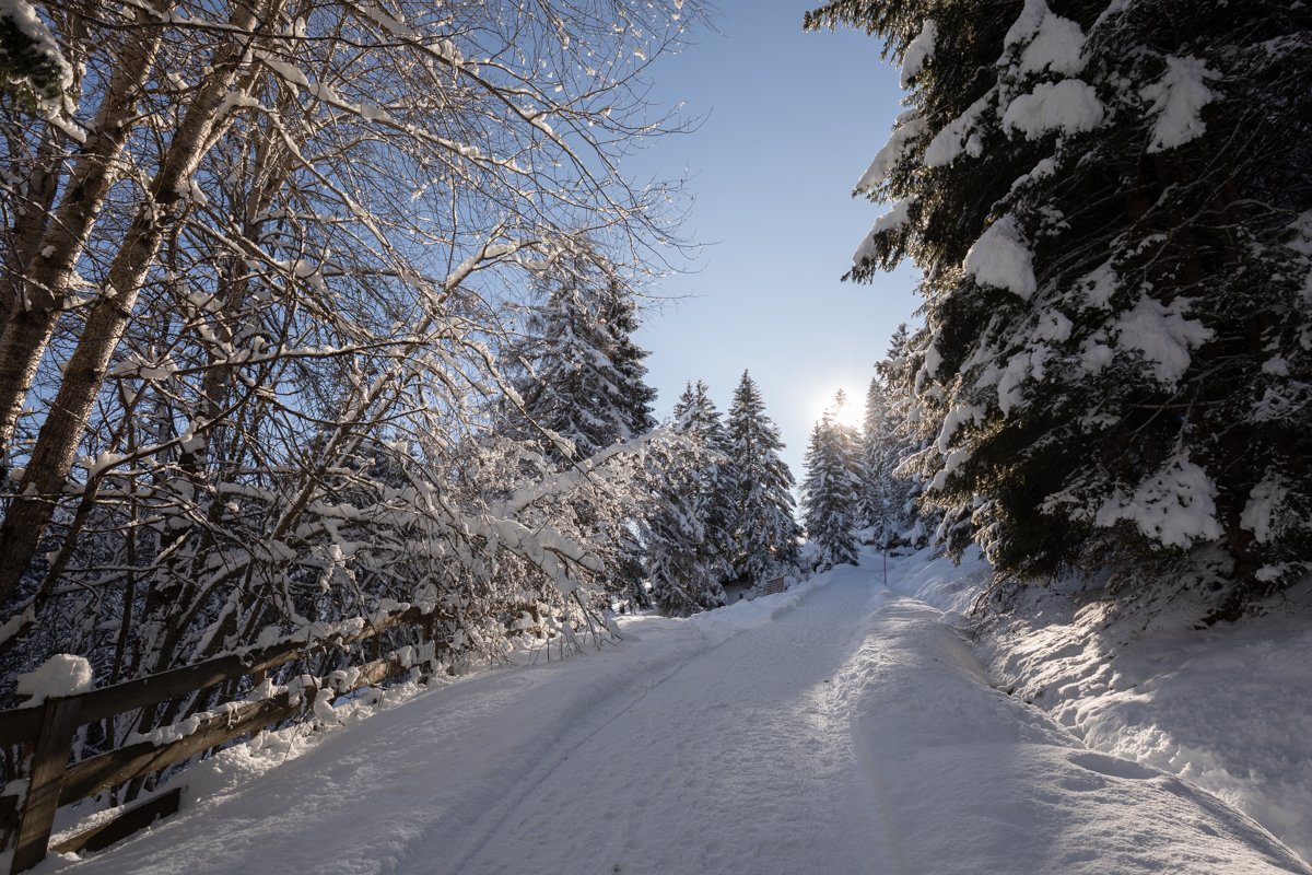 Currently we enjoy the perfect weather an the great views! ☀😍

#serfausfissladis #wearefamily #weilwirsgeniessen

(c) Andreas Kirschner | Serfaus-Fiss-Ladis Marketing GmbH