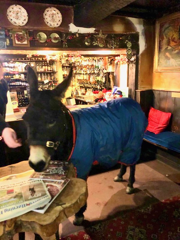 Funny who your customers are, but he said he wanted to catch the latest headlines from <a href="/WMNNews/">Western Morning News</a> but Eeyore, Eeyore always says that!!