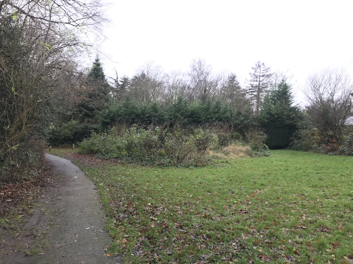 FishpondsSurb's tweet photo. Help us plant a NEW #community #orchard at #FishpondsPark #Surbiton 12 Jan, in partnership with @CitizenZoo @ProjectOrchard Details: https://t.co/cOyWsrXiEe https://t.co/WZIldsmWyw
