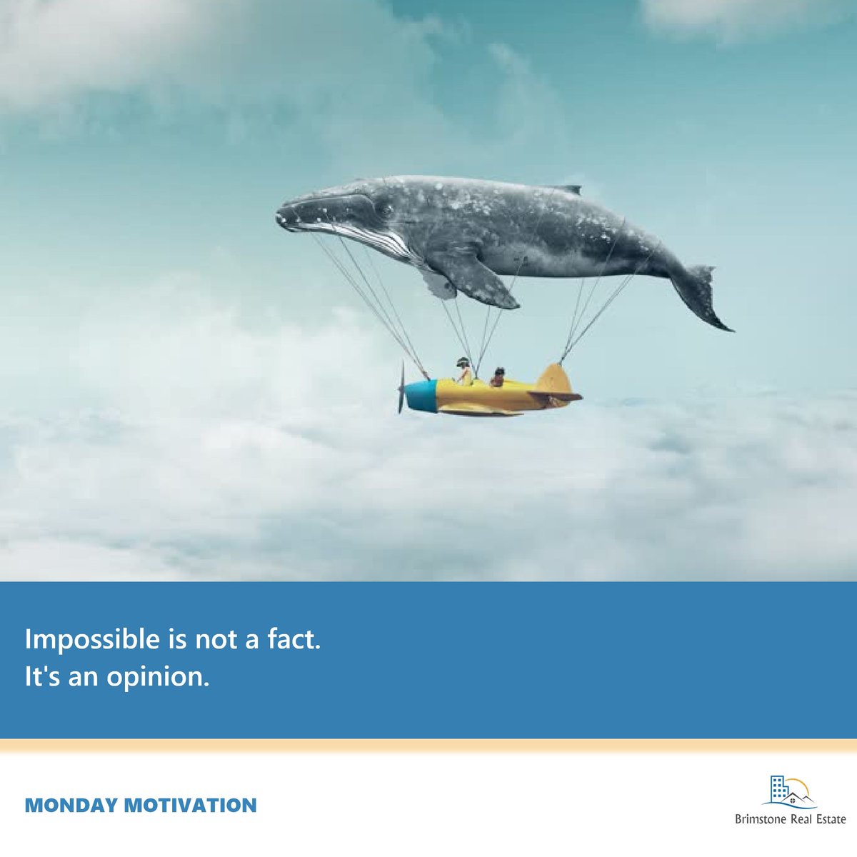 brimstone_ng's tweet photo. This is a simply stated fact. It is not in the doing its in the thinking. Limitation shouldn't be absorbed...
Have a lovely newer week!
Hello Monday!π€
.
.
#brimstone_ng #realestate #realestateforsale #realestateagent #housingagent #subwayestate #propertydeveloper https://t.co/uJbPnw4V1U