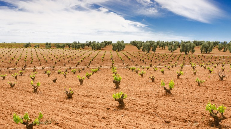 UPA_Extremadura's tweet photo. Nuevo mazazo al cava extremeño. Bloqueo absoluto desde Cataluña a Extremadura que solo beneficia a los catalanes ya que ellos no tienen posibilidad de expansión. Una vez más el @mapagob frena nuestro crecimiento. Rechazo absoluto a esta decisión 👉https://t.co/LSPaaouqLl https://t.co/8ROgqlXYk5