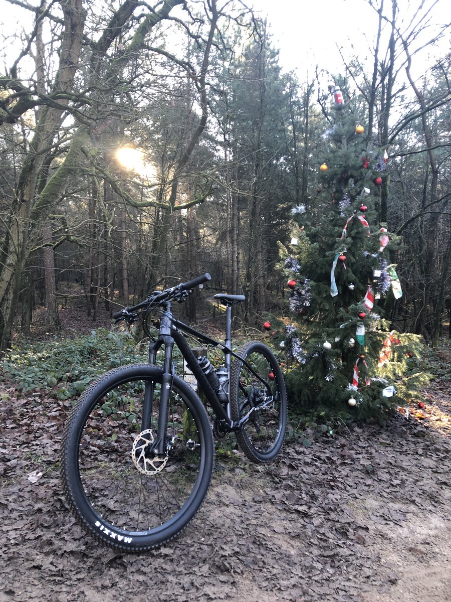 RoelKlei's tweet photo. Heerlijk ritje gereden door de Boswachterij Dorst en de Leemputten (voormalig Surae)! #duringtraining https://t.co/0pBXPJoHex
