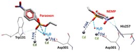 OPCW_ST's tweet photo. Biodegradation of organophosphorus compounds predicted by enzymatic process with molecular modelling &amp; observed in soil samples: a comparison. From @Molecules_MDPI https://t.co/Qh020A2S7q https://t.co/XPUBJENKvX