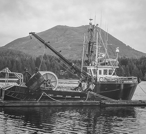 TourismUcluelet's tweet photo. Simple, beautiful, memorable.

.
.
.
#myucluelet #fishing #fishingboat #seaside #ocean #oceanside #vancouverisland #britishcolumbia #ucluelet #ukeebc #pacificnorthwest #canada #blackandwhite #sharethecoast #explorebc #monochrome

 📷 @black_an_white_images https://t.co/PdqqB1xS21