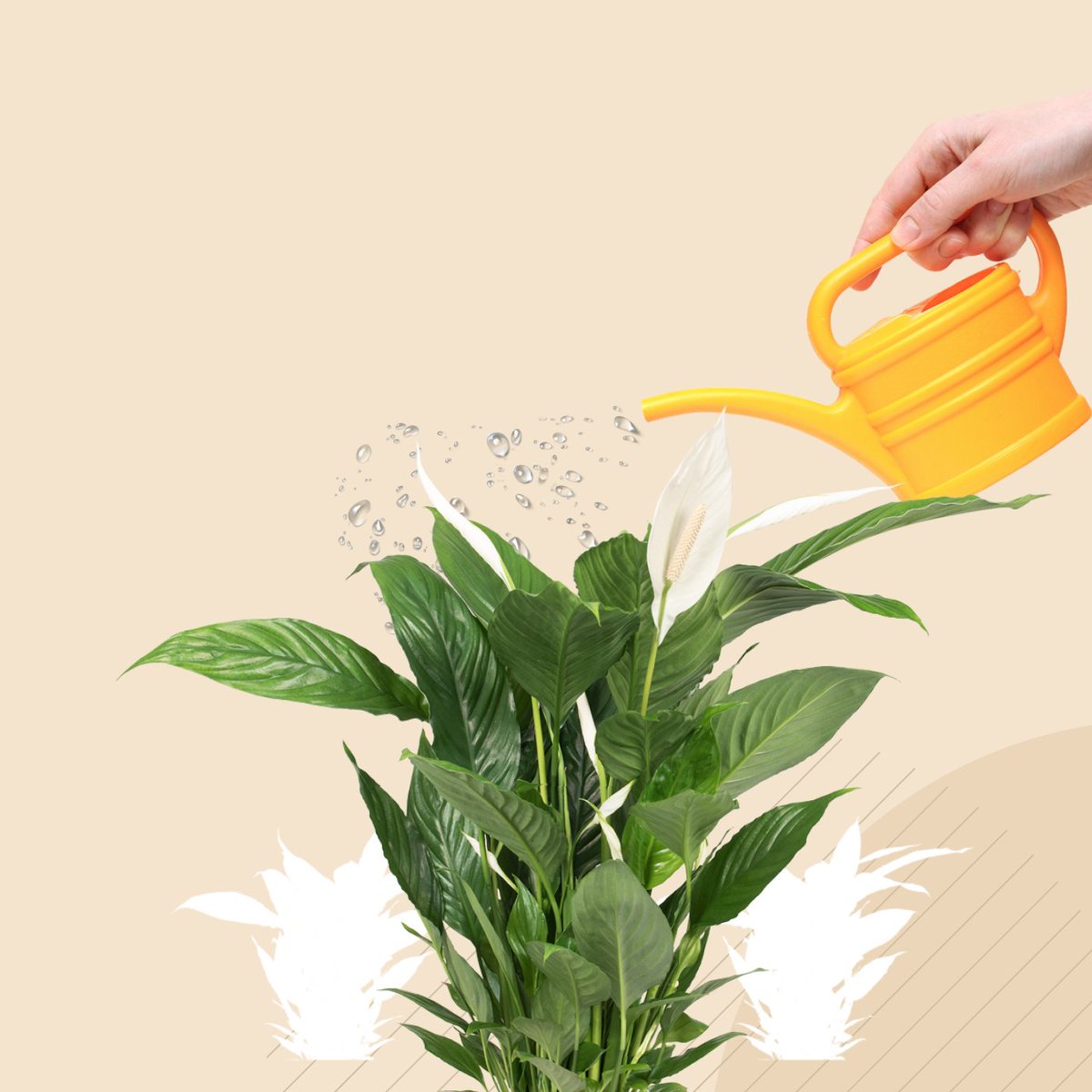 Pixelfield tweet media