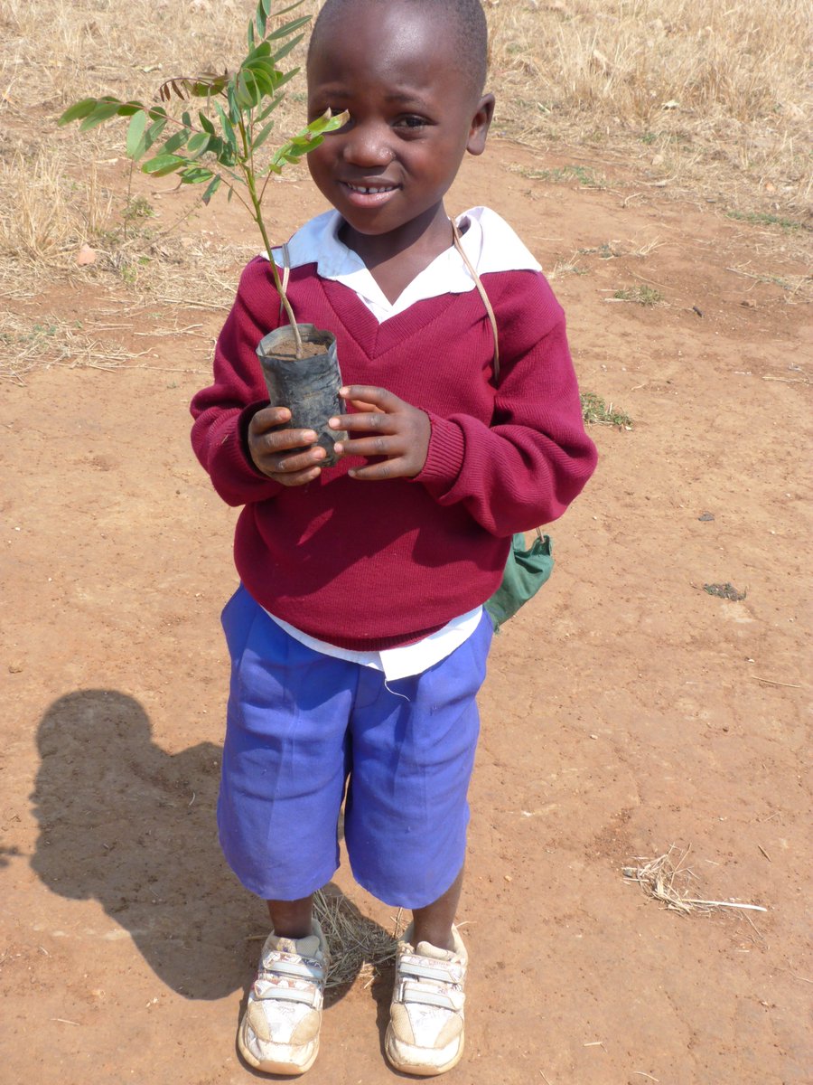 As we are counting hours to the end of the year what if everyone of us can plant just one tree? A single tree!! Millions of trees will be planted worldwide