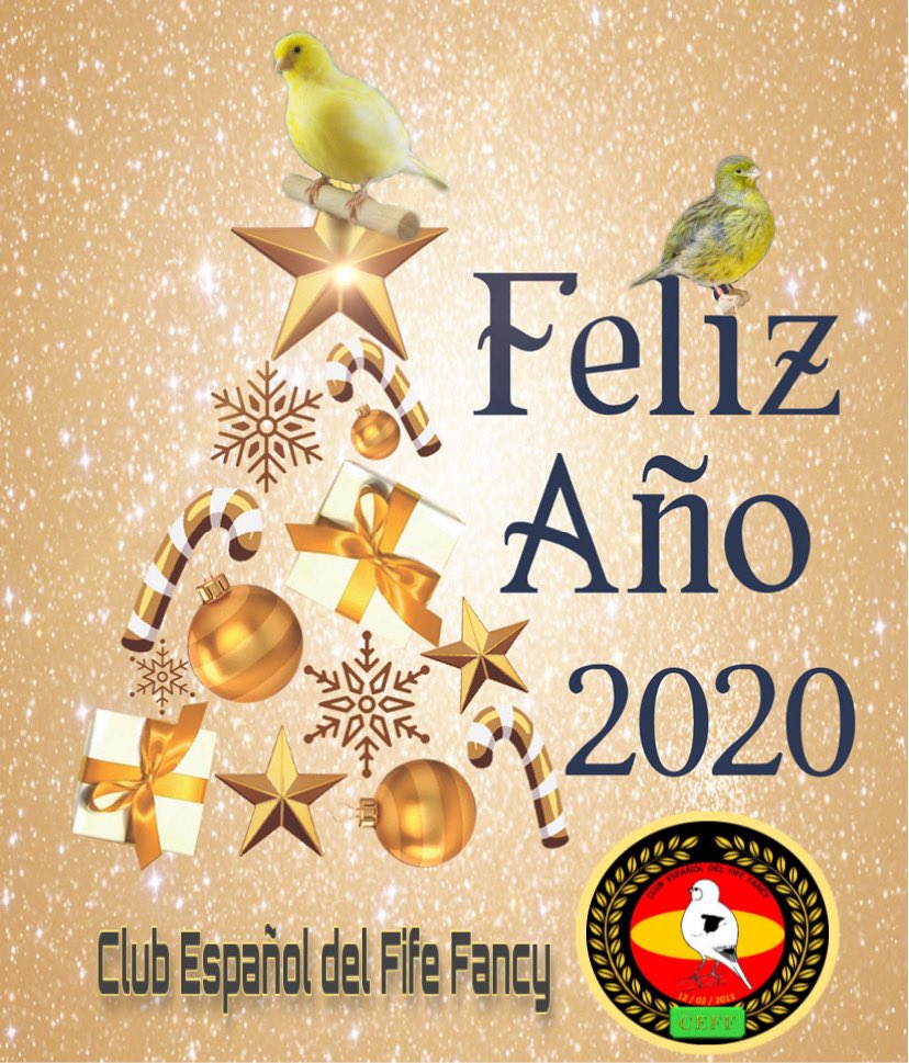 EspanolFife's tweet photo. 🔶 A Todos los amantes de la #ornitología Y En especial a los criadores del #FIFEFANCY Os Deseamos un Próspero #añonuevo lleno de SALUD  y que tengáis una buena #cria2020 todos 🥂🎊🐣

#felizañonuevo2020 #canary #canaricultura #canariosdepostura #CEFF #cria2020  @club_fife_fancy https://t.co/dYjkB9WI6c
