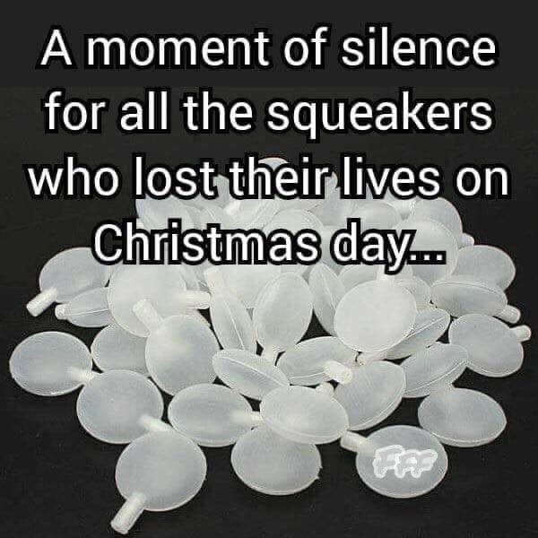 #dogsoftwitter #dogs #dog #ilovedogs #rescuedogs #dogtoys #mondaythoughts #mondaymorning
