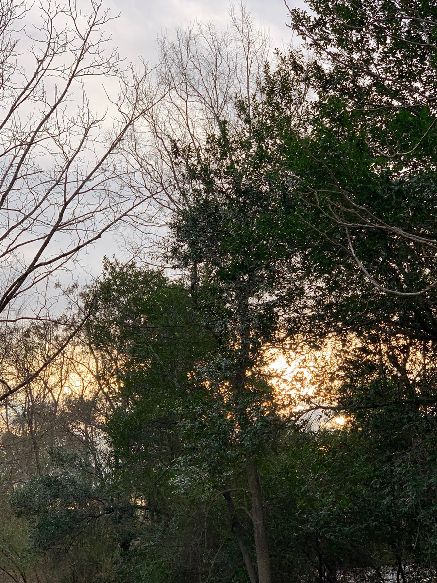 sokamoto's tweet photo. Good morning, Columbus! #ColumbusGA #mydailyphoto #12/30/2019 #2019project #mostlycloudy #suntryingtowakeup #cooler #stilldamp #tinybreeze #birds&neighborsdogsquiet https://t.co/a2B8RxlS4S