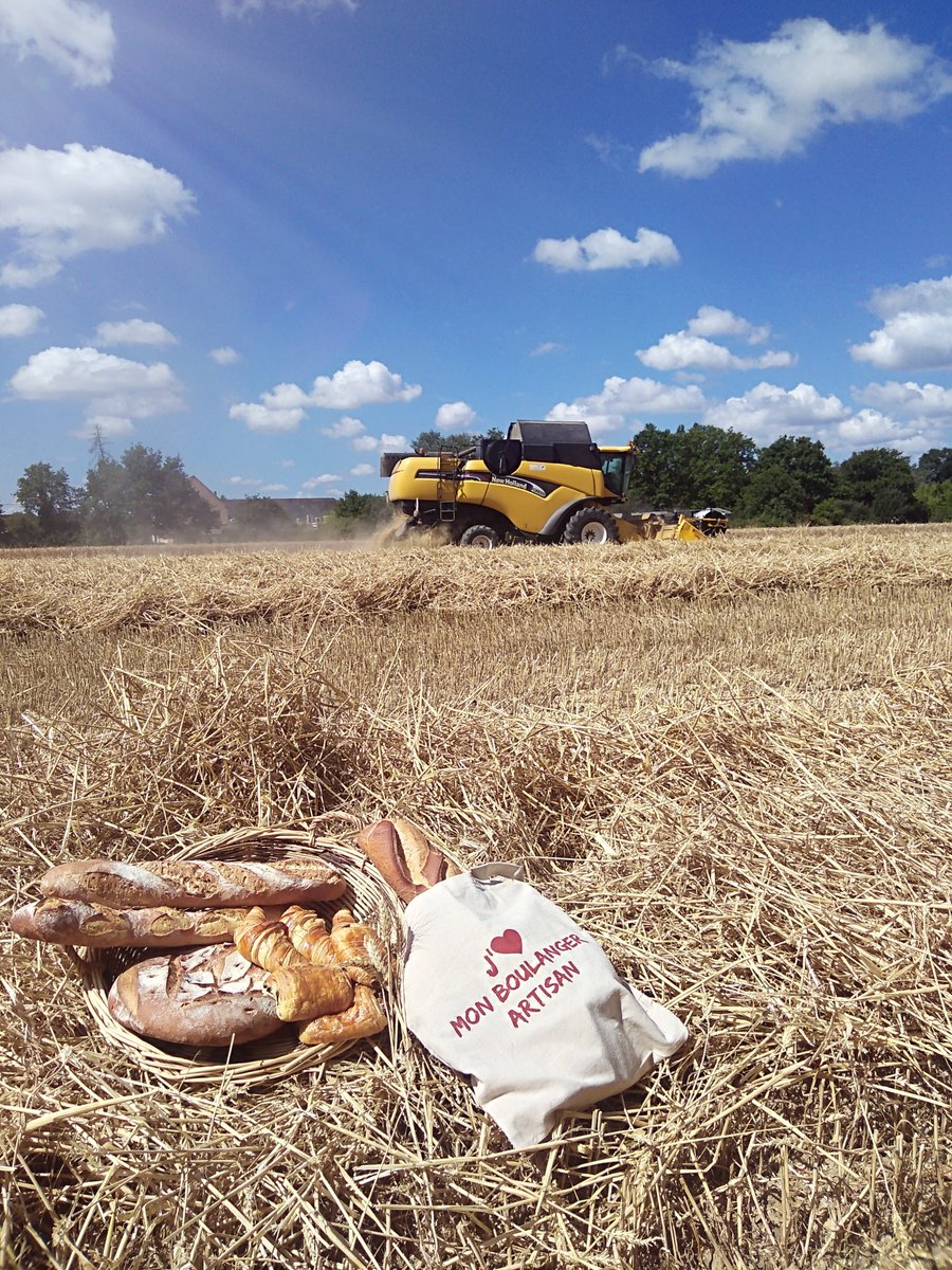 jeunesagri44's tweet photo. Pour les fêtes, mais aussi toute l’année, les agriculteurs français travaillent avec passion pour vous proposer des plats de qualité, témoins d’une agriculture diversifiée.
Pour un #NouvelAnEthique avec les agriculteurs, #MangezFrançais et de saison ! 🥖🥐 https://t.co/AFMPTONVQc
