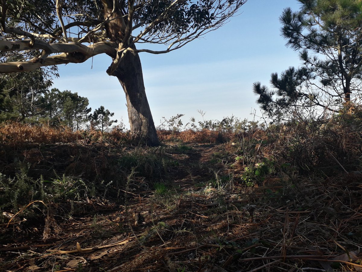 Bellas fotografía en la que se puede ver, en todo su esplendor, el paisaje interior de nuestra nación. Paisaje que contrasta con los acantilados que conforman nuestra frontera marítima. #micronations