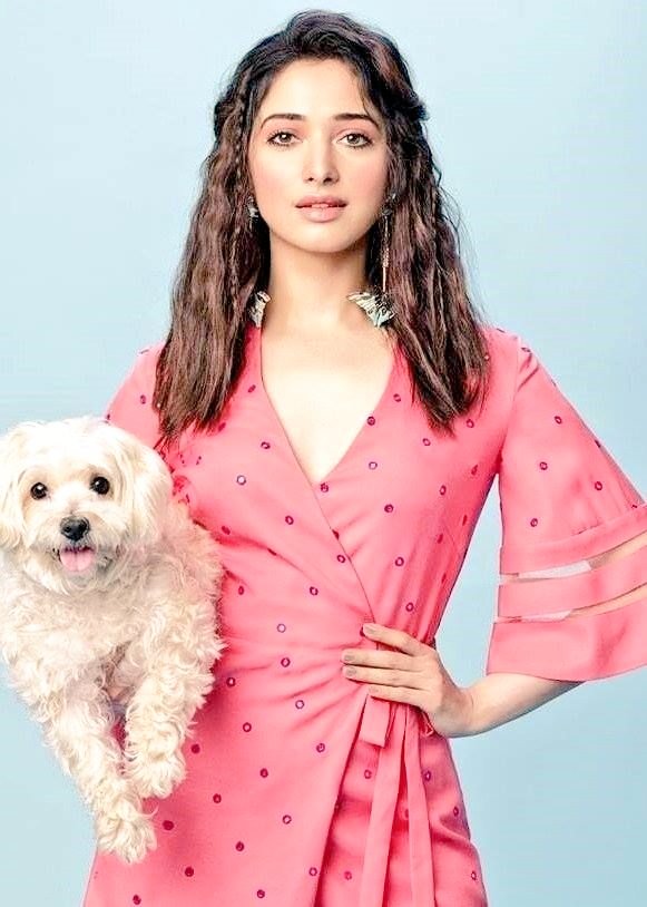 tamannaah as cupcakes: a thread ♡