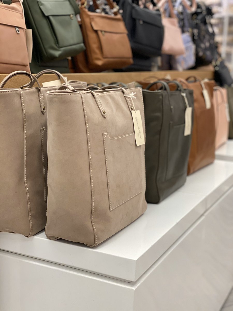 Carly Sellaro tweet media