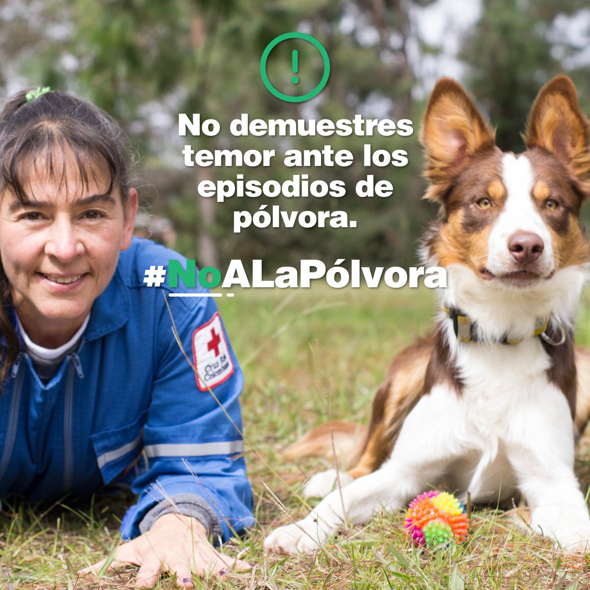 CruzRojaAntioq's tweet photo. #CRCSA | 😌 No demuestres temor ante los episodios de pólvora o ruido extremo, actúa con naturalidad #AyudaAtuMascota #NoALaPólvora
#JuntosProtegiendoLaVida https://t.co/fqdAwyuISO