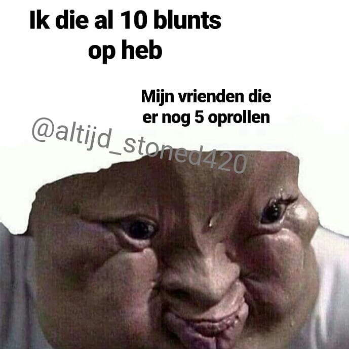 420problem's tweet photo. Follow @altijd_stoned420 #altijdstoned #high #stoned #friends #weed #raw #weedmeme #weedmemes #memes #nature #gezond #natuur… #420Problem... https://t.co/t3CFMlQT6d