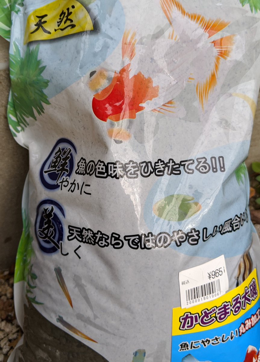 tffarm1's tweet photo. 大掃除がてら水槽に底砂を追加しました🐟
かどまる大磯砂、優しい風合いと魚の色を引き立てる感じは触れ込み通りですね！
チェリーバルブがとてもきれいです☺️砂自体も丸くてきれい😌
#かどまる大磯 #底砂 #熱帯魚水槽 https://t.co/CHO5aYaPQj