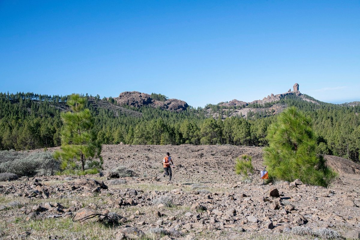 GCOM_info's tweet photo. 🇮🇨 Imágenes de ayer en Llanos de la Pez, en @Tejeda_GC. Recuerda que en nuestro Facebook «Orientación Canarias» las tienes todas.
🇬🇧 Some pics about yesterday in Llanos de la Pez, #Tejeda. All pictures in our Facebook «Orientación Canarias».
#GCOM2019
📸 Sabrina Ceballos https://t.co/aAudwmk7G4