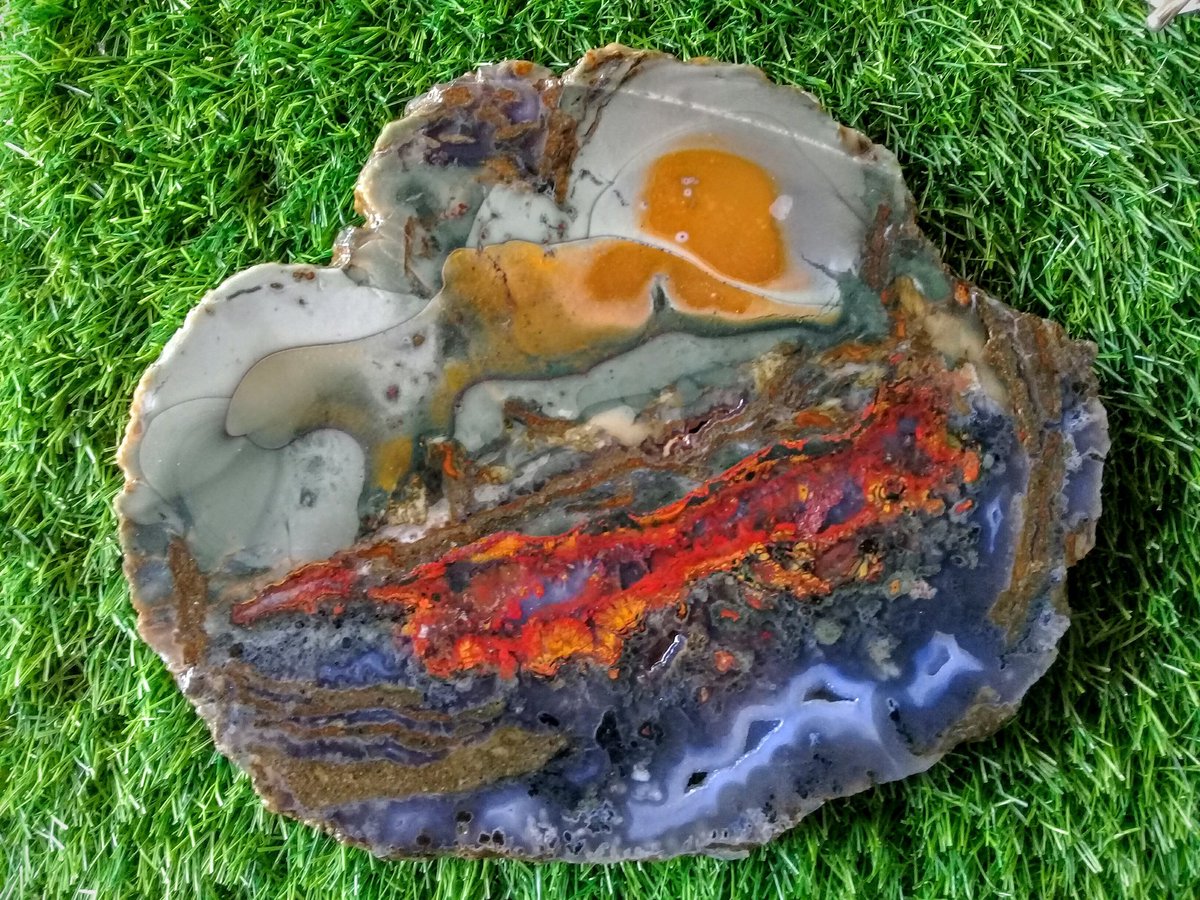 stone_rival's tweet photo. Rare item Slab plum agatized high quality #slabs #chalcedony #agate #rockhound #minerals #mineralsforsale #lapidary #agatized #rockcollection #rock #crystals #amethysts #rockforsale #healingstone #rockshop #crystalshops #piedras #wirewrappingstones #palmwood #rockcutting https://t.co/WOYb6BN4q6