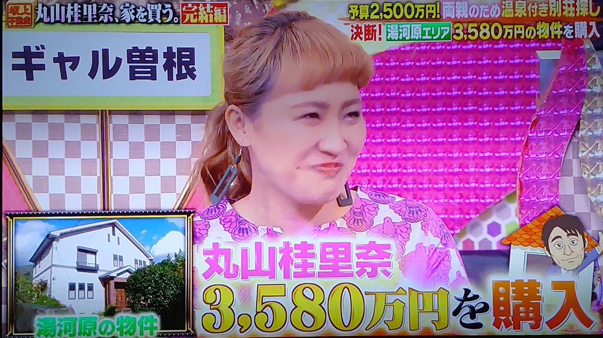 中野 照義 桂里奈さん ついに家を買った 有吉ゼミ 丸山桂里奈